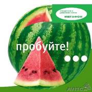 Высококлассный тариф Мегафон